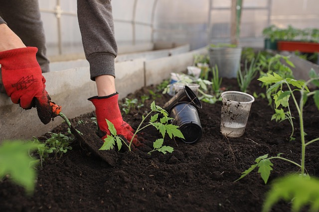 greenhouse