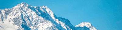 AmadeusWeb Global | India